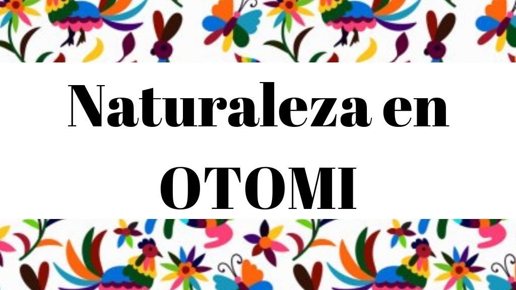 🌲 Palabras referentes a Naturaleza en Otomí - Diccionario HnaHnu Español
