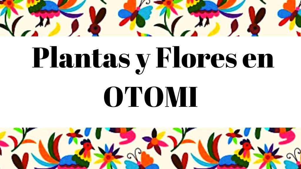 Flores en Otomí